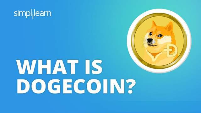 狗狗币吧_狗狗币最新价格美元_狗狗币今日最新价格美元