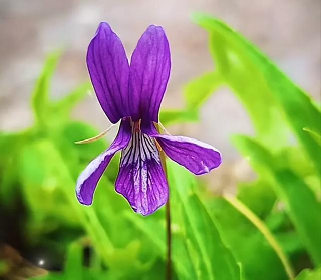 删除了发消息还能看到怎么设置_发消息删了之后对方还能看到吗_怎么不发消息知道别人删你没