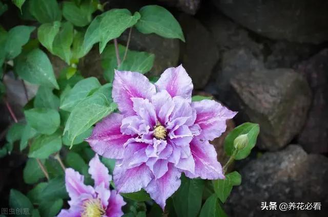 钱包密钥是什么意思_钱包密钥在哪里能找到_tp钱包密钥丢了怎么办