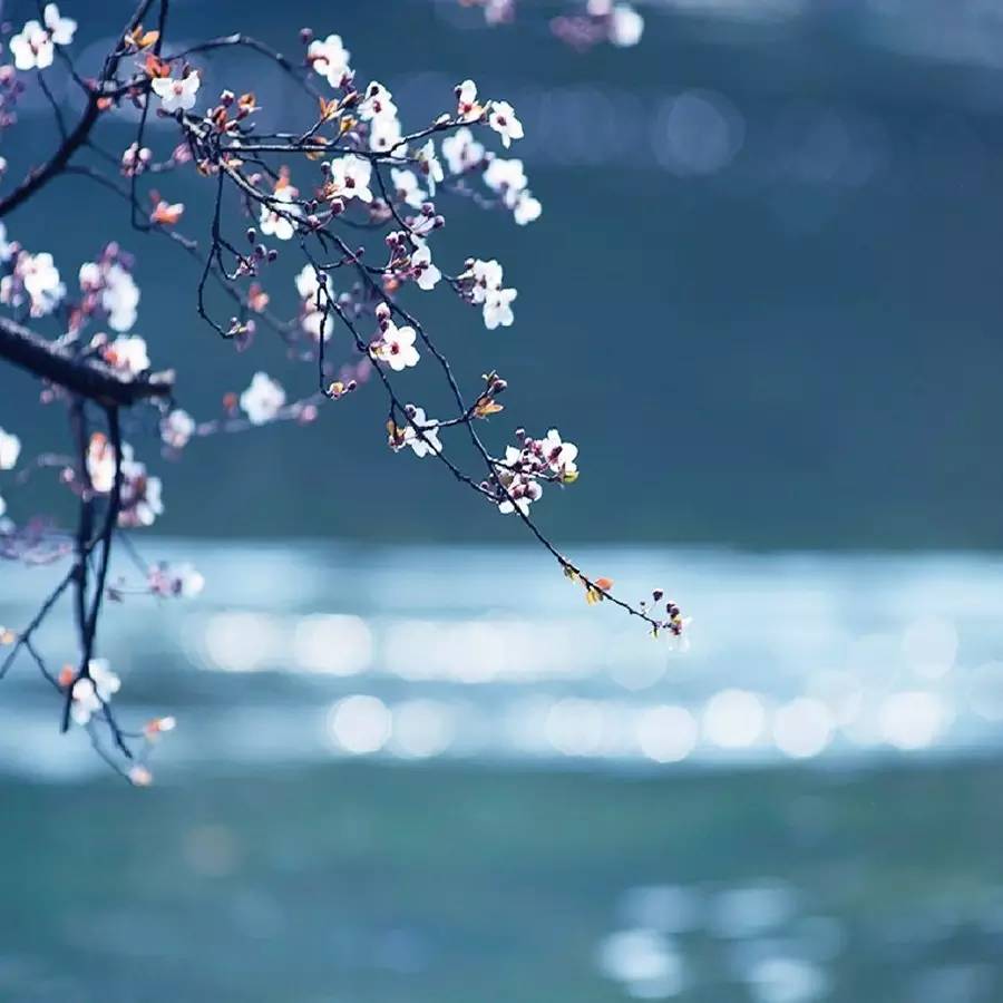 第二_第二_第二