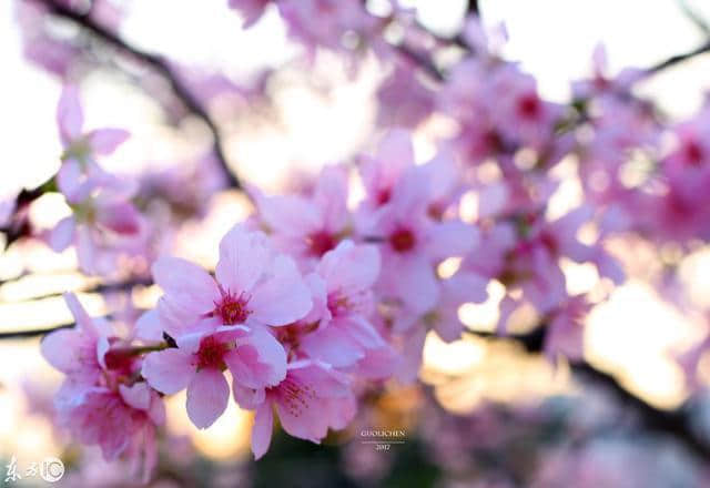 2014年4月15日_月日年还是日月年_外国生产日期怎么看日月年