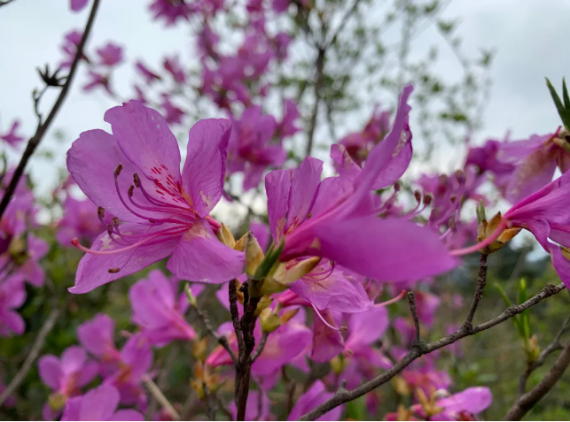 2014年4月15日_外国生产日期怎么看日月年_月日年还是日月年