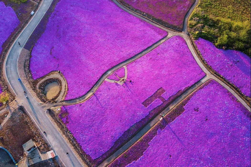 民生小微app下载_民生银行小微银行app_民生小微是正规平台吗