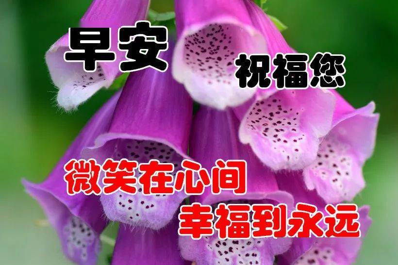 六月假期安排_六月假期_六月假期2024法定假日几天
