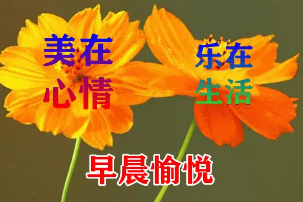 端午动态图片大全吉祥_端午动态图片安康_端午动态图片