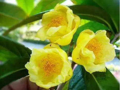 聊天有啥意思_微信仅聊天什么意思_聊天微信