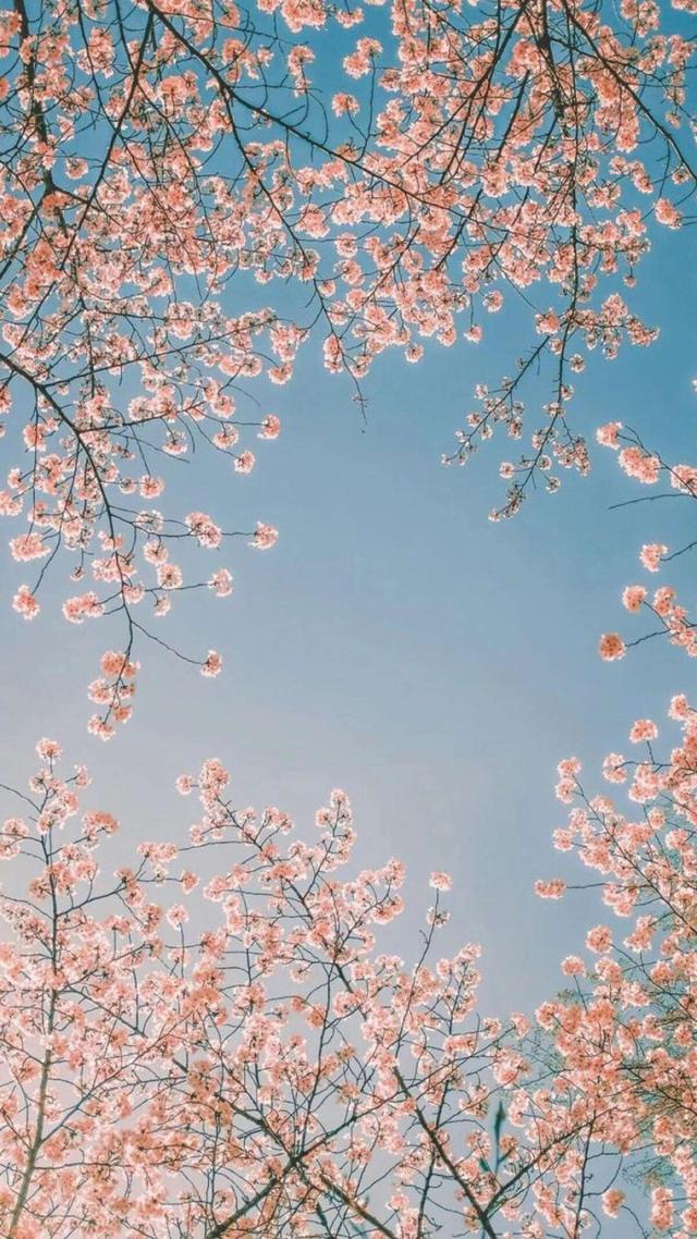 快播下载官网_快播下载官网_快播下载官网