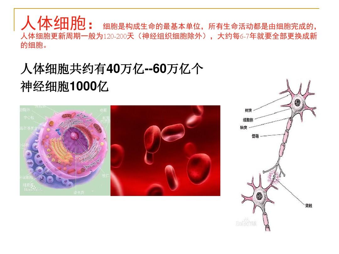 手机版火绒安全软件下载_火绒安全有手机版吗_火绒手机安全卫士