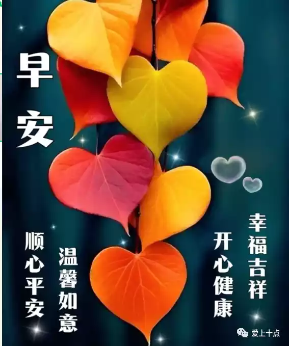 柚月_柚月_柚月