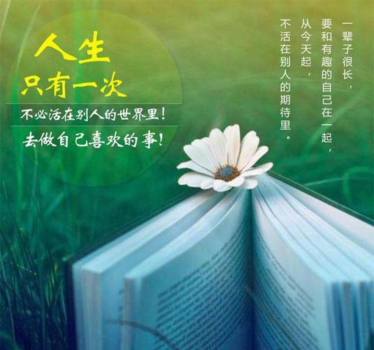 莉安传说_黛莉安_尤莉安