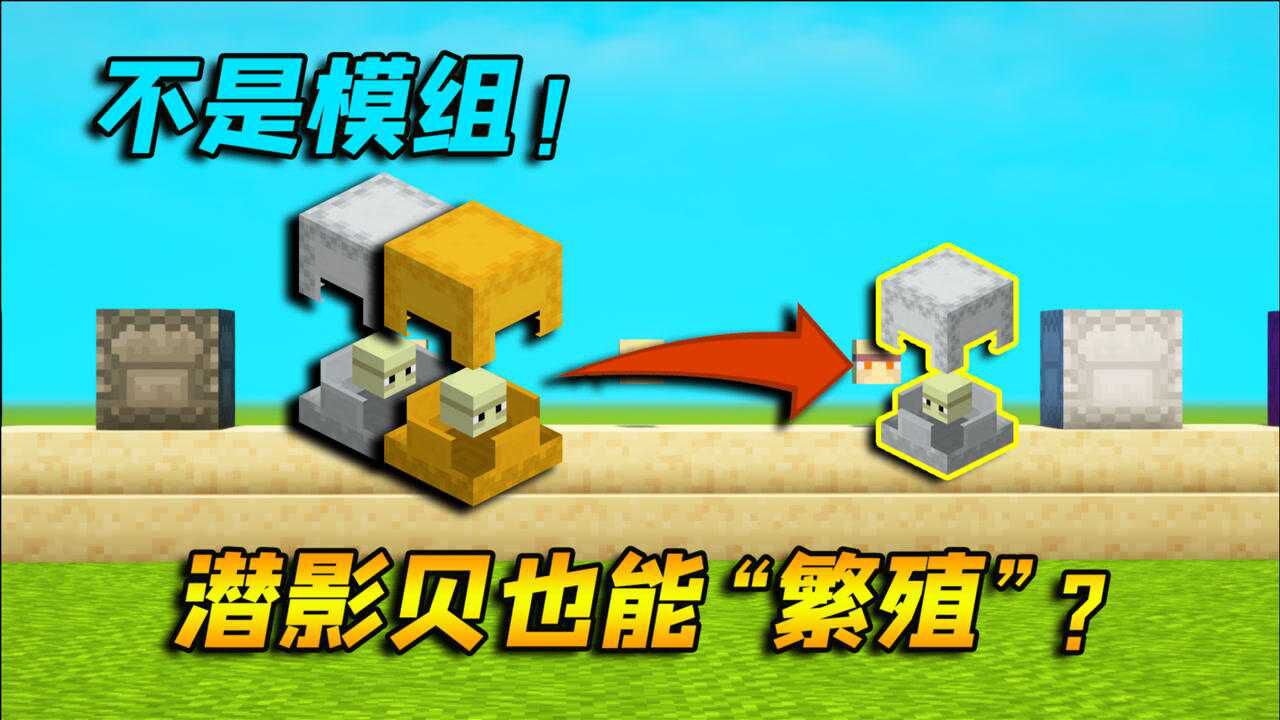 我的世界潜影贝农场_基岩版潜影贝农场_世界农场钻石有什么用