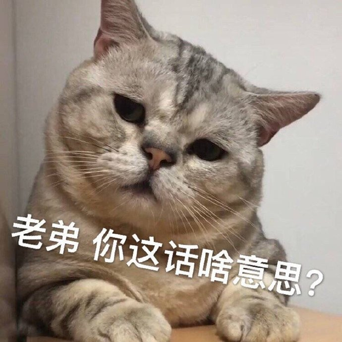 微信表情开放平台app下载-微信表情开放平台 app：让你成为表情包大佬的神器