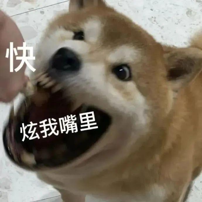 wx表情开放平台_微信表情开放平台在哪下载_微信表情开放平台app下载