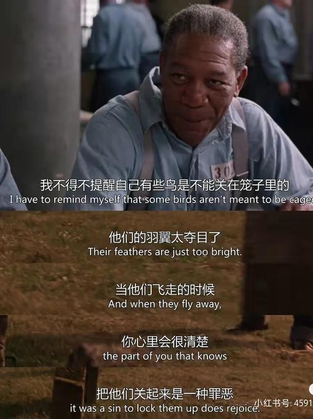 《救赎》电影_救赎电影bd在线播放_肖申克的救赎电影完整版免费观看