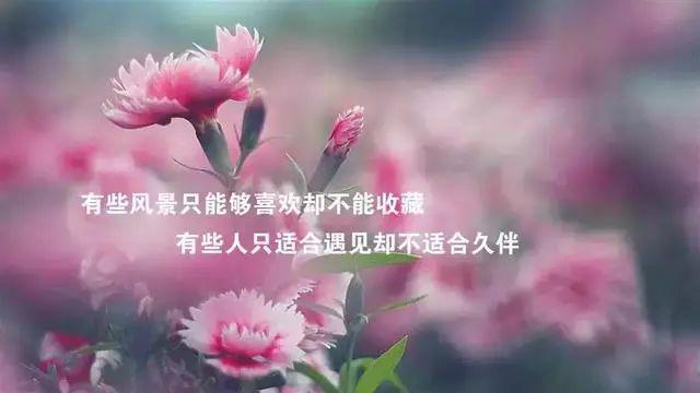 星之声结局_星之声_星之声讲的是什么