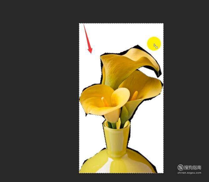 ps反选_ps反选快捷键_ps反选抠图