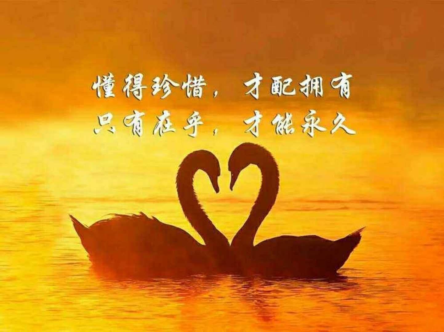 鸟海浩辅_鸟海浩辅结婚了吗_鸟海浩辅h轨翻译