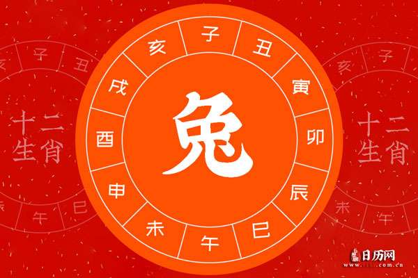 兔属于哪一年出生_属兔是出生的年份_属兔的是哪年出生的