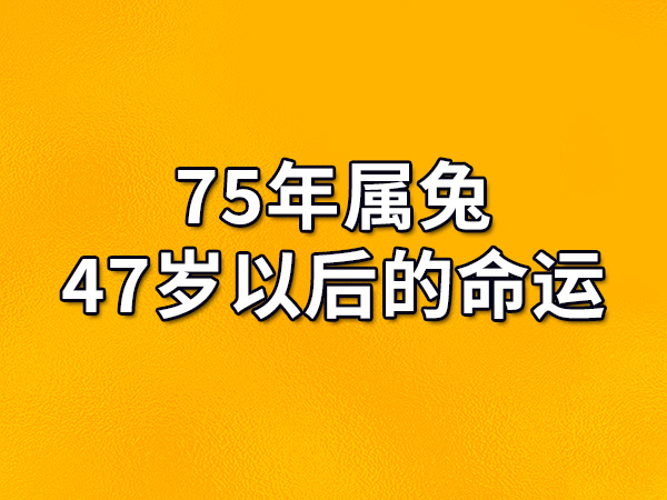 属兔的是哪年出生的_属兔是出生的年份_兔属于哪一年出生