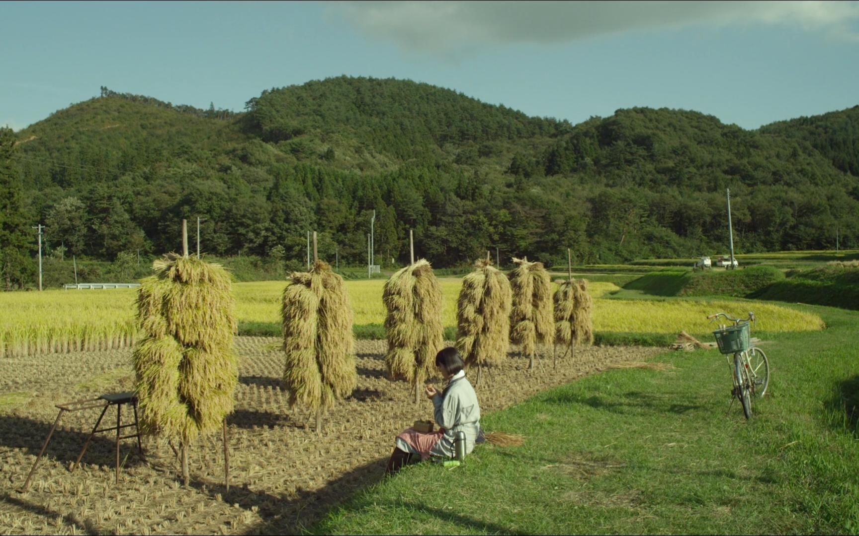 小森林日本电影免费观看完整版_小森林夏秋篇免费观看_森林战士电影国语免费观看
