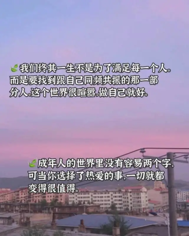 井野_井野_井野