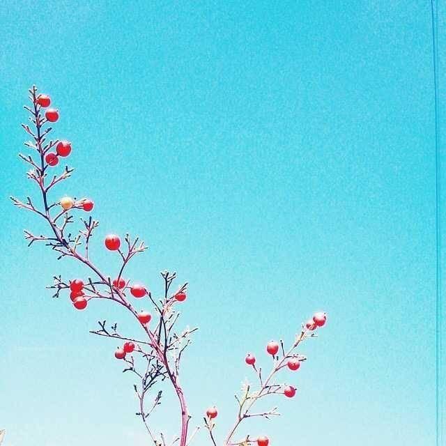佐仓慈_佐仓慈_佐仓慈